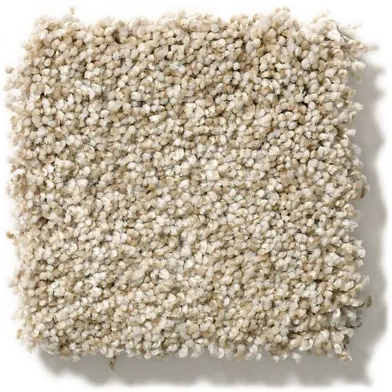 Pet Perfect - The Bark Side II - Carpet Anderson Tuftex