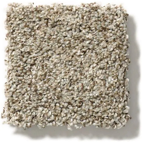 Pet Perfect - The Bark Side II - Carpet Anderson Tuftex