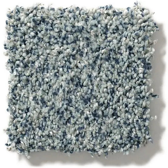 Pet Perfect - The Bark Side II - Carpet Anderson Tuftex