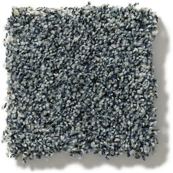 Pet Perfect - The Bark Side II - Carpet Anderson Tuftex