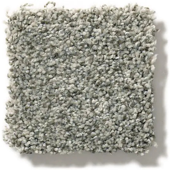 Pet Perfect - The Bark Side II - Carpet Anderson Tuftex