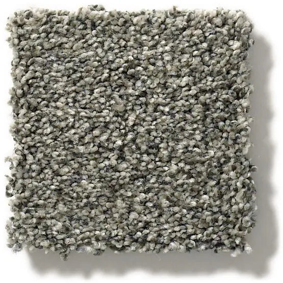 Pet Perfect - The Bark Side II - Carpet Anderson Tuftex