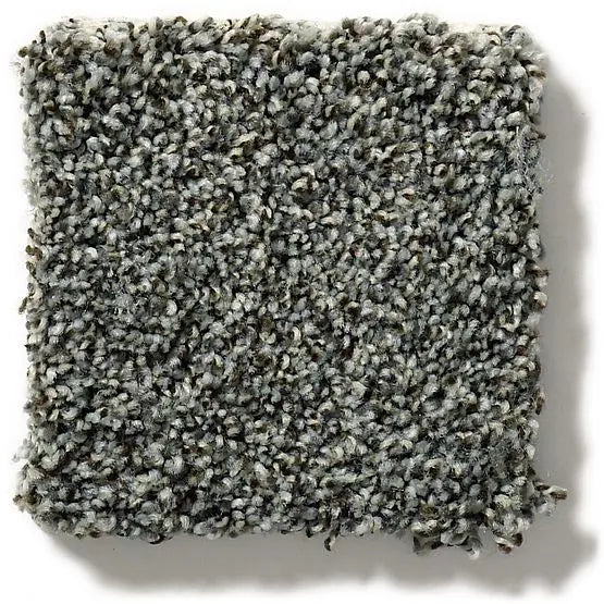 Pet Perfect - The Bark Side II - Carpet Anderson Tuftex