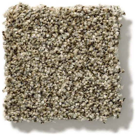 Pet Perfect - The Bark Side II - Carpet Anderson Tuftex