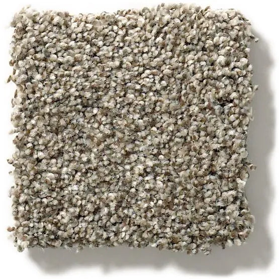 Pet Perfect - The Bark Side II - Carpet Anderson Tuftex