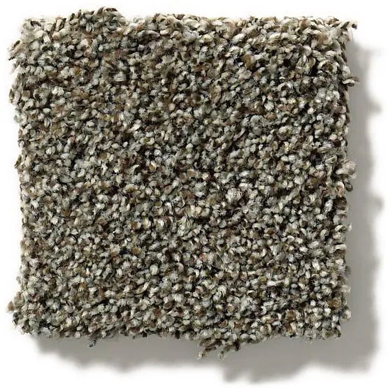 Pet Perfect - The Bark Side II - Carpet Anderson Tuftex