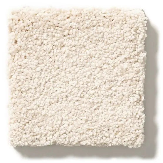 Pet Perfect - Pawparazzi I - Carpet Anderson Tuftex