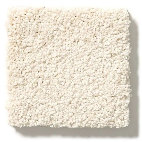 Pet Perfect - Pawparazzi I - Carpet Anderson Tuftex