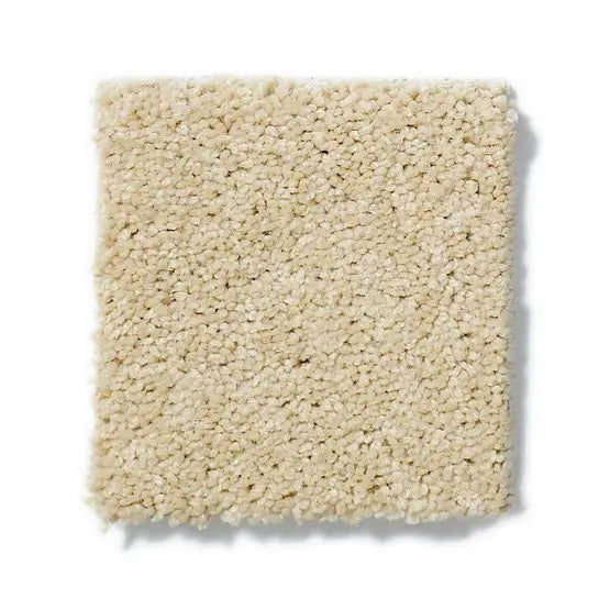 Pet Perfect - Pawparazzi I - Carpet Anderson Tuftex