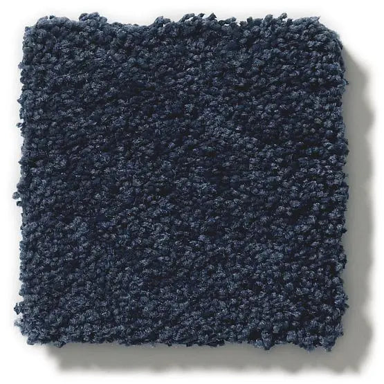 Pet Perfect - Pawparazzi I - Carpet Anderson Tuftex