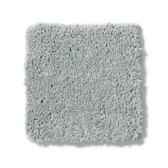 Pet Perfect - Pawparazzi I - Carpet Anderson Tuftex