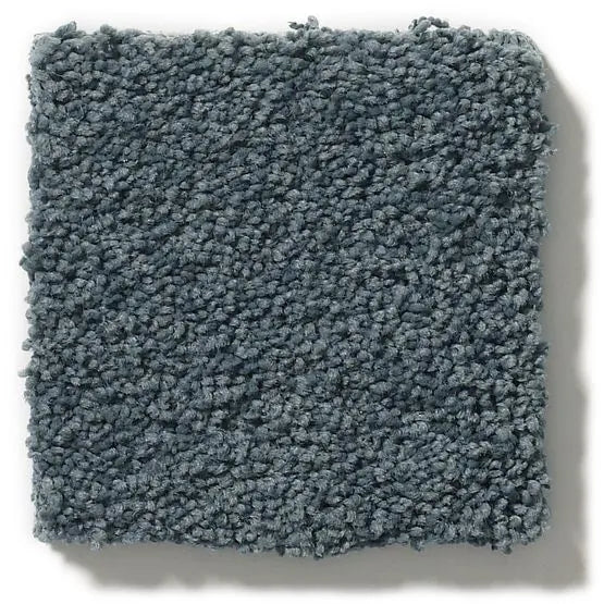 Pet Perfect - Pawparazzi I - Carpet Anderson Tuftex