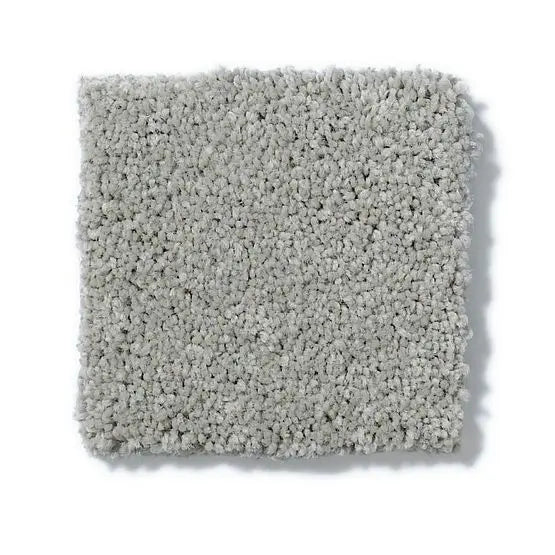 Pet Perfect - Pawparazzi I - Carpet Anderson Tuftex