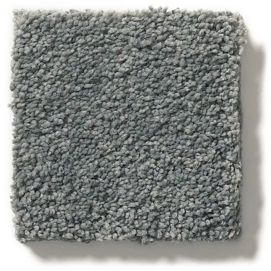 Pet Perfect - Pawparazzi I - Carpet Anderson Tuftex