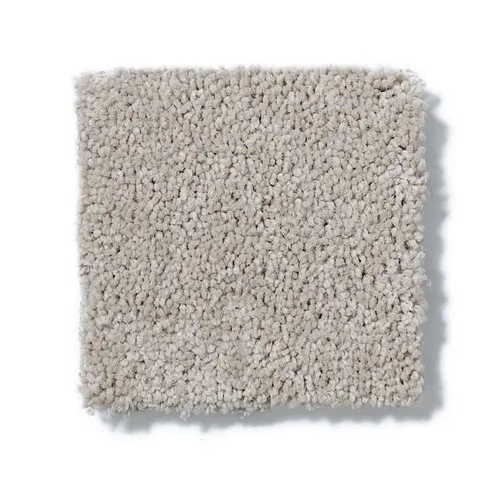 Pet Perfect - Pawparazzi I - Carpet Anderson Tuftex