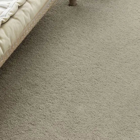 Pet Perfect - Pawparazzi II - Carpet Anderson Tuftex