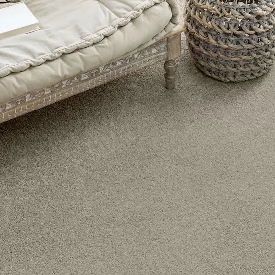 Pet Perfect - Pawparazzi II - Carpet Anderson Tuftex