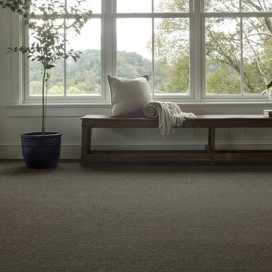 Pet Perfect - Pawparazzi II - Carpet Anderson Tuftex