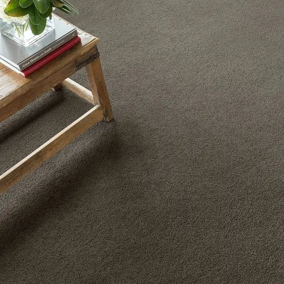 Pet Perfect - Pawparazzi II - Carpet Anderson Tuftex