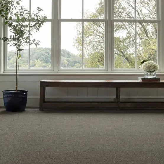 Pet Perfect - Pawparazzi II - Carpet Anderson Tuftex