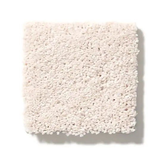 Pet Perfect - Pawparazzi II - Carpet Anderson Tuftex