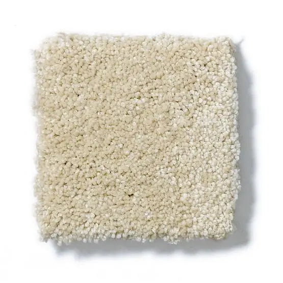 Pet Perfect - Pawparazzi II - Carpet Anderson Tuftex