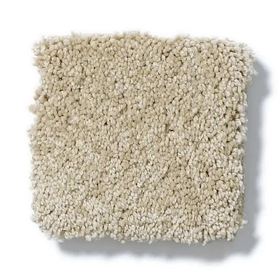 Pet Perfect - Pawparazzi II - Carpet Anderson Tuftex