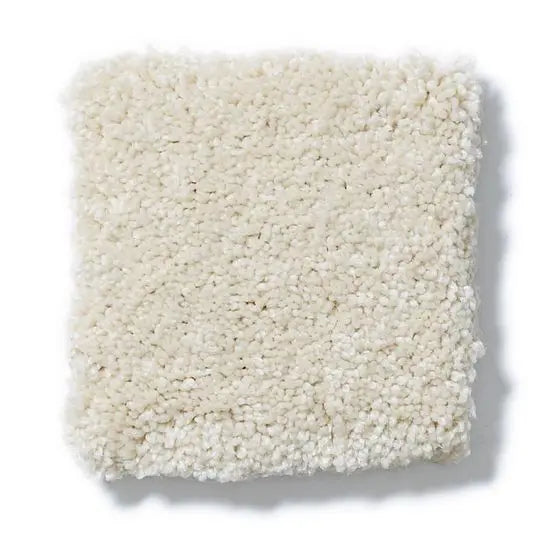 Pet Perfect - Pawparazzi II - Carpet Anderson Tuftex