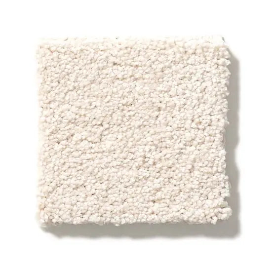 Pet Perfect - Pawparazzi II - Carpet Anderson Tuftex