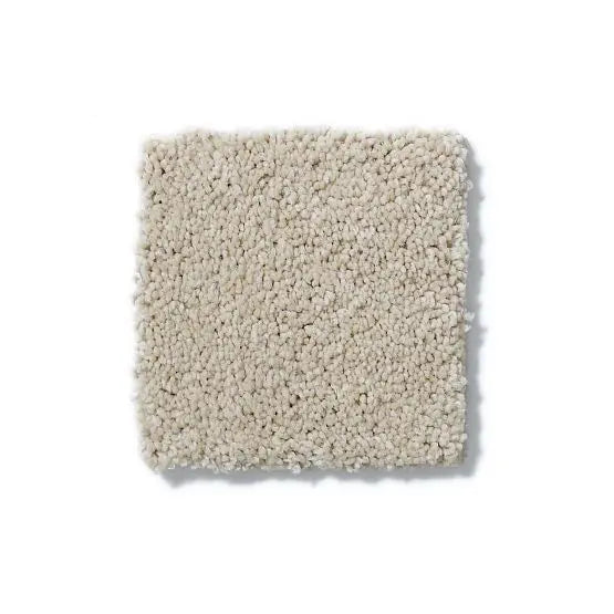 Pet Perfect - Pawparazzi II - Carpet Anderson Tuftex