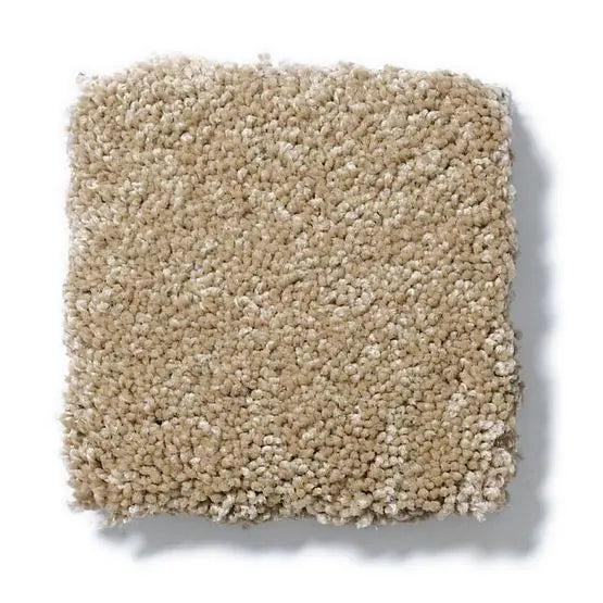 Pet Perfect - Pawparazzi II - Carpet Anderson Tuftex