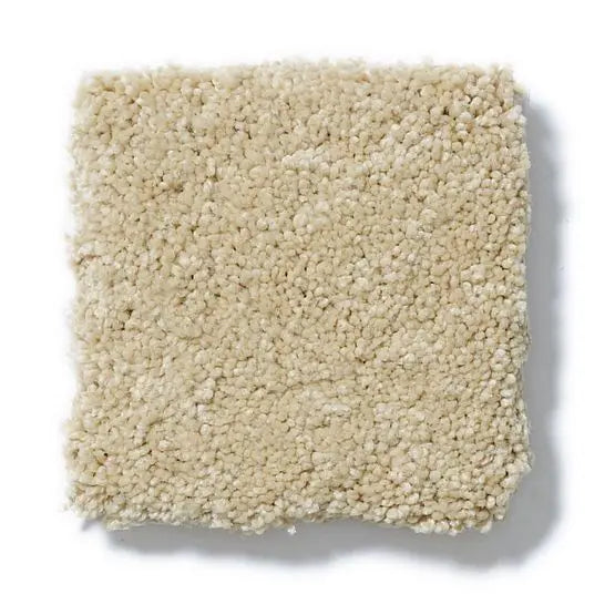 Pet Perfect - Pawparazzi II - Carpet Anderson Tuftex