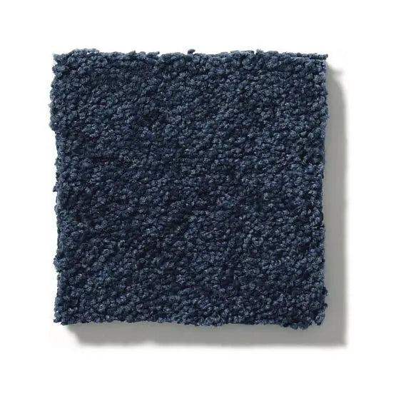 Pet Perfect - Pawparazzi II - Carpet Anderson Tuftex