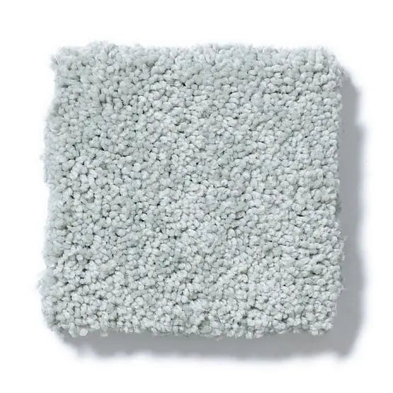 Pet Perfect - Pawparazzi II - Carpet Anderson Tuftex