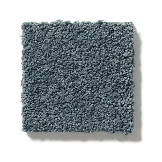 Pet Perfect - Pawparazzi II - Carpet Anderson Tuftex