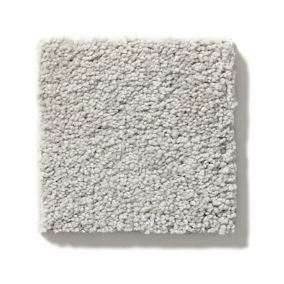 Pet Perfect - Pawparazzi II - Carpet Anderson Tuftex