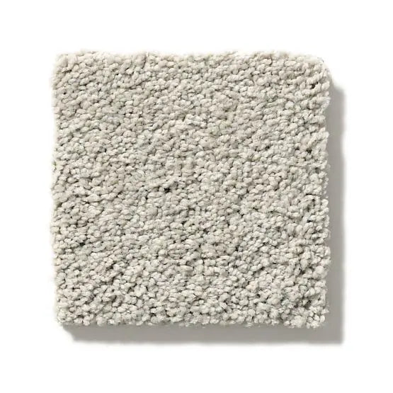 Pet Perfect - Pawparazzi II - Carpet Anderson Tuftex