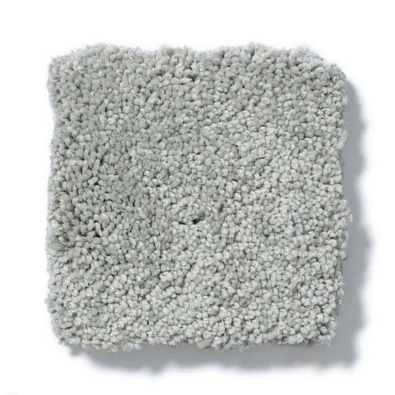 Pet Perfect - Pawparazzi II - Carpet Anderson Tuftex