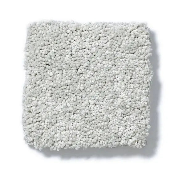 Pet Perfect - Pawparazzi II - Carpet Anderson Tuftex