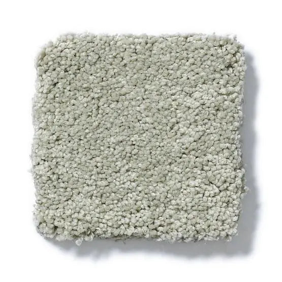 Pet Perfect - Pawparazzi II - Carpet Anderson Tuftex