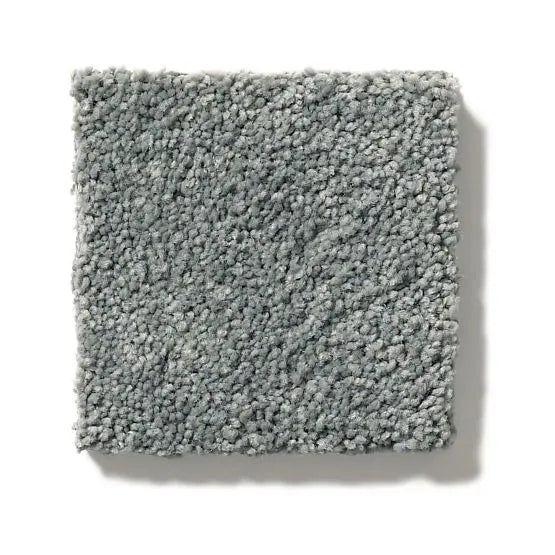 Pet Perfect - Pawparazzi II - Carpet Anderson Tuftex