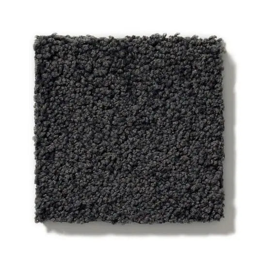 Pet Perfect - Pawparazzi II - Carpet Anderson Tuftex