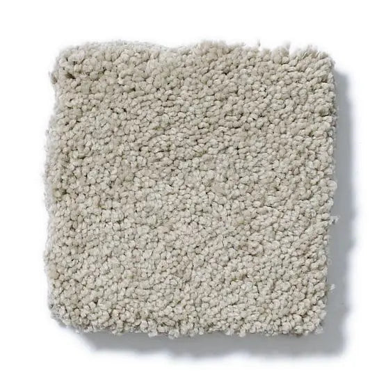 Pet Perfect - Pawparazzi II - Carpet Anderson Tuftex