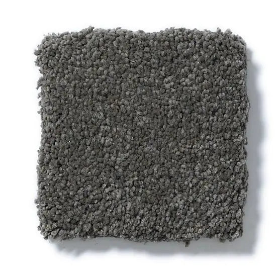 Pet Perfect - Pawparazzi II - Carpet Anderson Tuftex