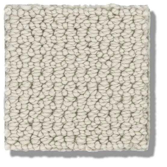 Pet Perfect - Purrfection - Carpet Anderson Tuftex