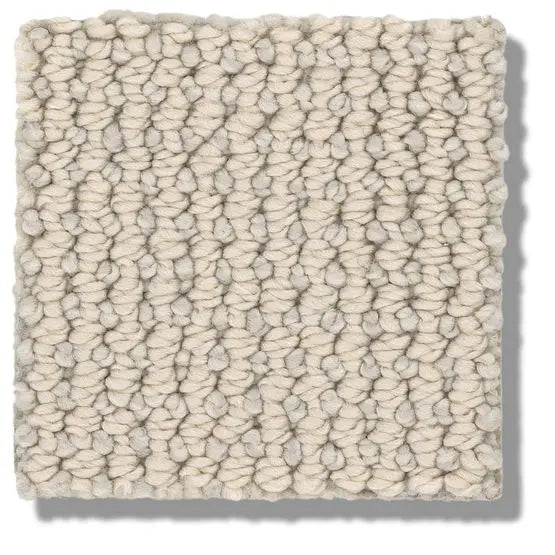 Pet Perfect - Purrfection - Carpet Anderson Tuftex