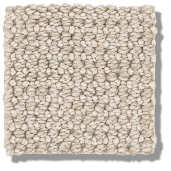 Pet Perfect - Purrfection - Carpet Anderson Tuftex