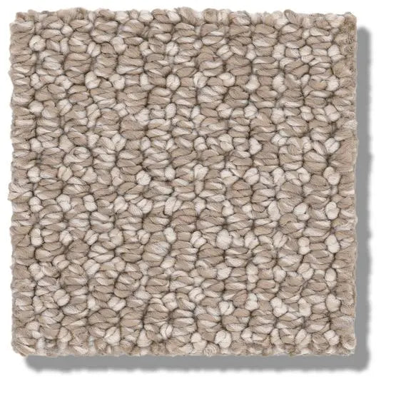 Pet Perfect - Purrfection - Carpet Anderson Tuftex