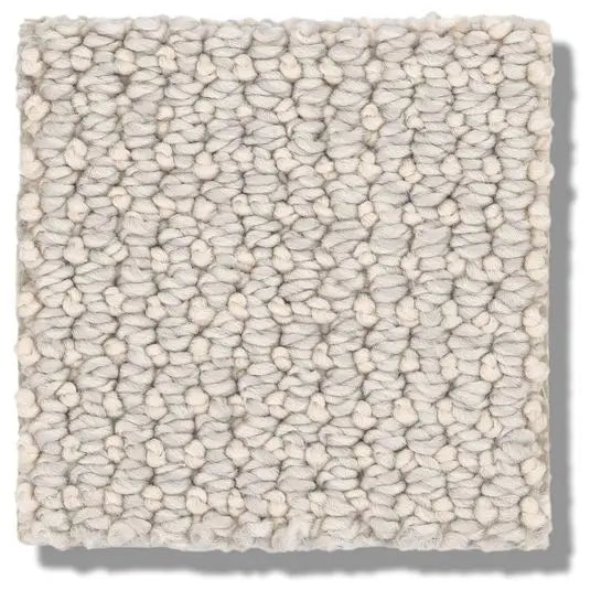 Pet Perfect - Purrfection - Carpet Anderson Tuftex