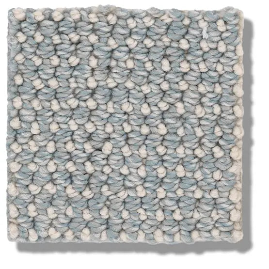 Pet Perfect - Purrfection - Carpet Anderson Tuftex